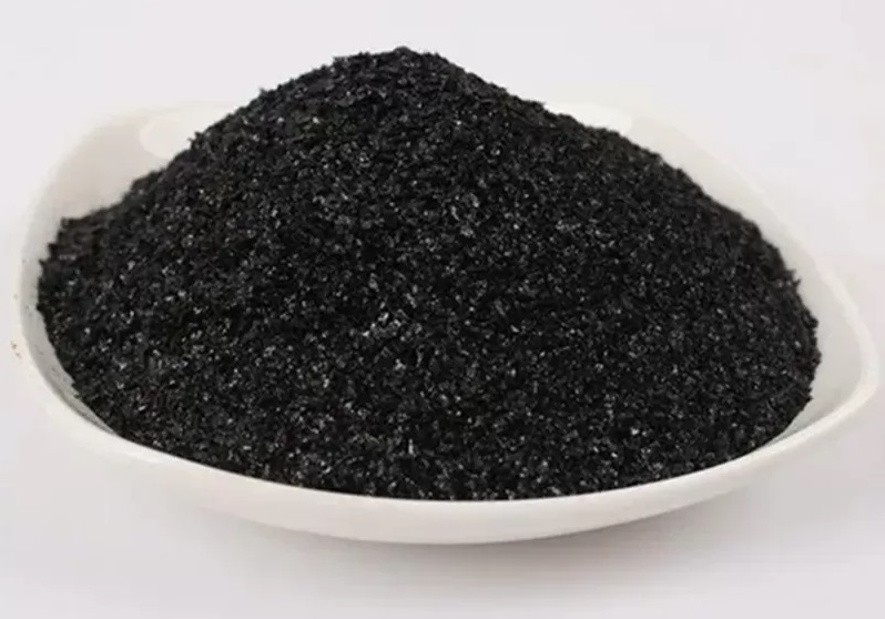 Seaweed Biofertilizers
