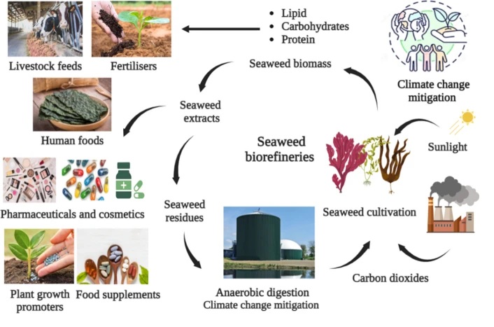 Waste Reduction